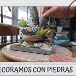 Pecera de cactus: aprende cómo plantarlos de manera fácil y creativa