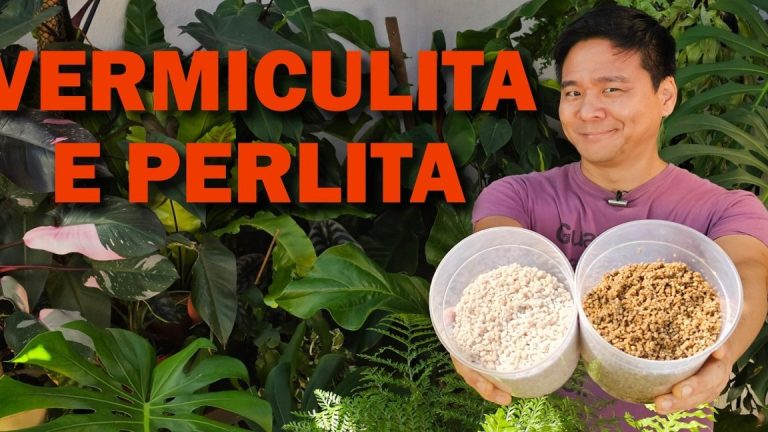 Persona mostrando dos recipientes con perlita vermiculita frente a plantas verdes