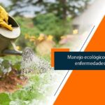 Jardinero con guantes y delantal regando un huerto ecológico con regadera, ilustrando prácticas de cultivo sostenible; ¡Descubre cómo plantar estragones y disfruta de su aroma único en tu propio jardín!