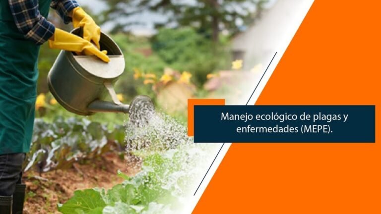 Guía completa para plantar tulíperos y tener un jardín de ensueño