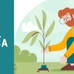 ¡Planta árboles frutales en mayo y disfruta de sus deliciosos frutos!