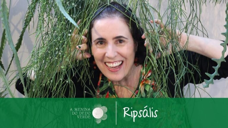 Guía completa para plantar Rhipsalis con éxito en casa