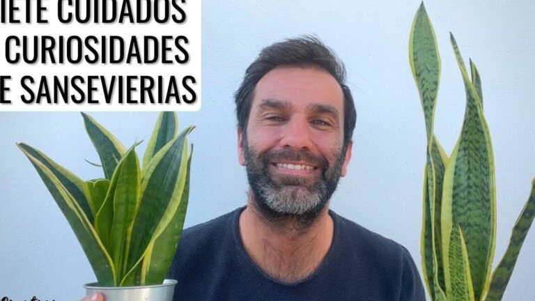 planta serpiente