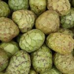 Planta tu propia chirimoya: Guía para plantar un hueso de chirimoya
