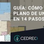 Planta tu propia vid en casa: Guía paso a paso