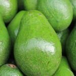 Planta tu propio aguacate: guía paso a paso
