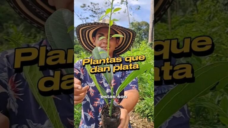Descubre las plantas compañeras que transformarán tu lechuga en un jardín deslumbrante