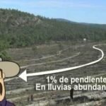 Descubre el secreto del cultivo continuo en tu jardín y transforma tu cosecha para siempre