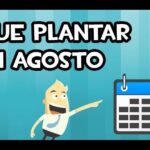 Ilustración con texto 'Qué plantar en agosto', calendario y personaje señalando: ¡Descubre qué se puede plantar en agosto para tener un jardín exuberante!