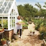 Plantar árboles en septiembre: descubre las especies ideales