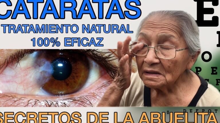 Plantar camas dentro del hogar: guía completa