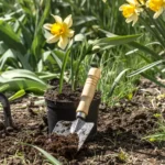 Plantar césped natural: consejos para un jardín verde y saludable