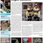 Plantar cola de caballo: guía paso a paso para un jardín exuberante