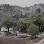 Plantar en enero en Cataluña: la guía esencial