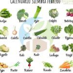 Plantar en febrero: calendario para huerto productivo