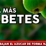 Cartel informativo sobre remedios vegetales para la diabetes y Plantar fenogrecos en casa: beneficios y cuidados.