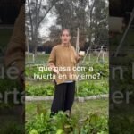 plantar invierno
