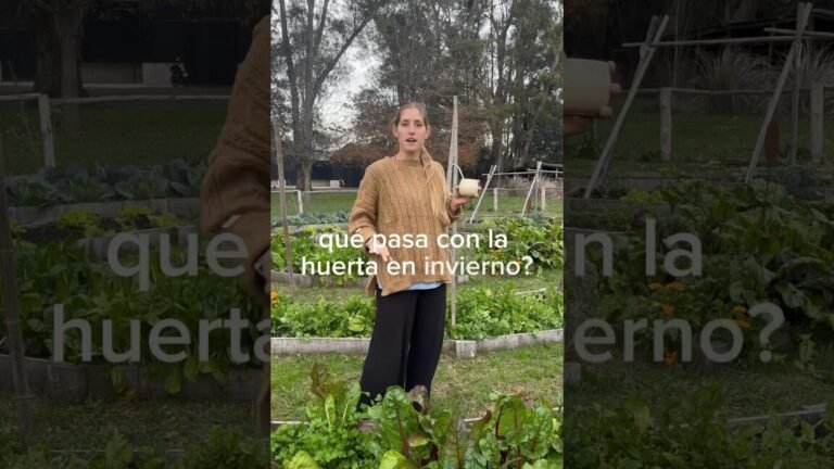 plantar invierno