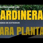 Descubre qué se puede plantar en jardinera y crea un oasis en tu hogar con jardineras grandes de exterior listas para plantar.