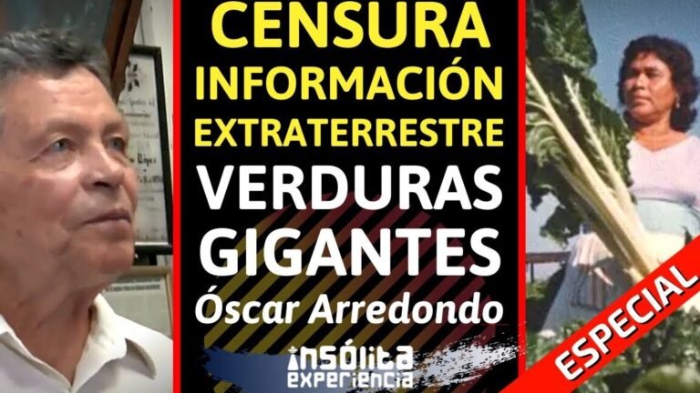 Guía para plantar lunarias