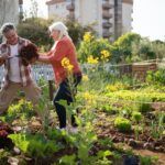 Plantar manzanos: consejos y fechas clave