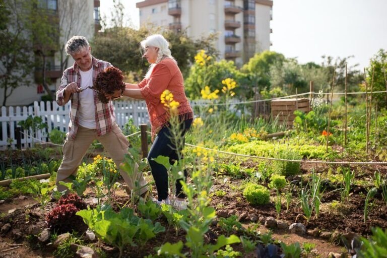 plantar manzanos consejos y fechas clave