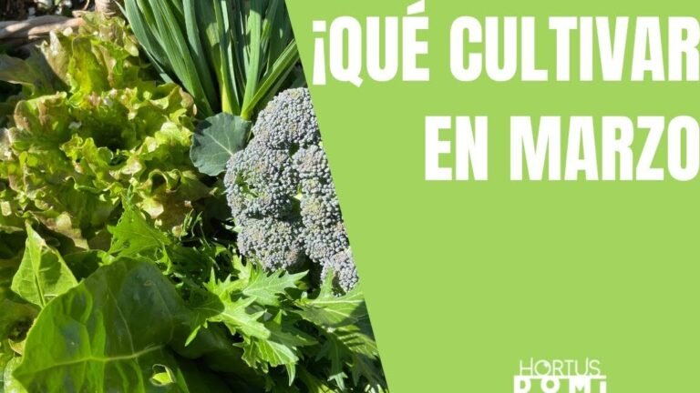 Descubre qué se puede plantar en el mes de marzo: Guía completa de cultivos