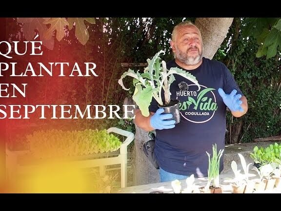plantar septiembre