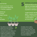Plantar tomillo fácilmente: ¡crece tu propio huerto en casa!