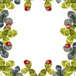 Plantar trébol de cuatro hojas: ¡La suerte está en tus manos!