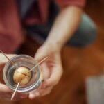 Plantar un naranjo en casa: ¡Disfruta de tus propias naranjas!