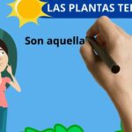 Ilustración educativa con una mano escribiendo, una niña junto a un árbol y el encabezado LAS PLANTAS TERRESTRES; ¡Descubre cómo plantar Cryptocorynes y crear un acuario espectacular!
