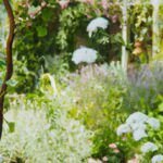 Jardín aroma: descubre las plantas aromáticas más decorativas
