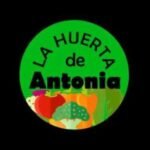 Descubre las plantas compañeras de la okra que transformarán tu jardín en un paraíso agrícola