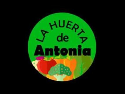 Descubre las plantas compañeras de la okra que transformarán tu jardín en un paraíso agrícola