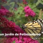 Plantas ideales para atraer mariposas y abejas a tu jardín