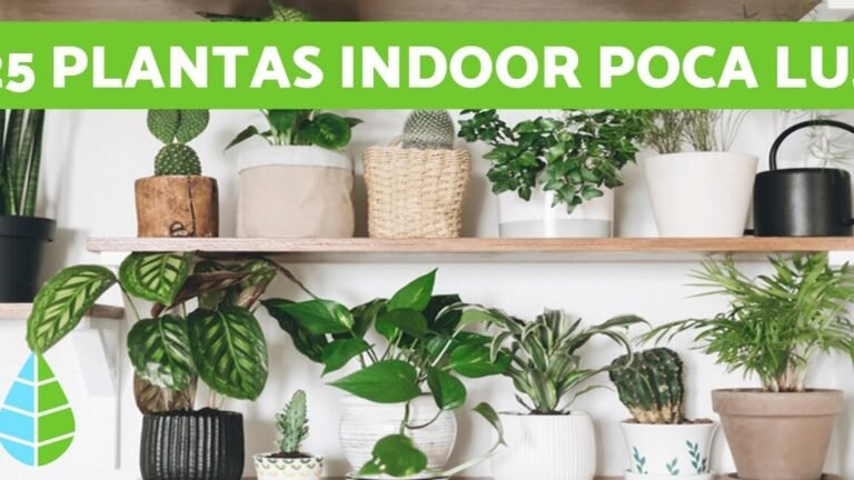 Descubre Todo lo que Puedes Plantar en Casa y Crea tu Propio Huerto Urbano