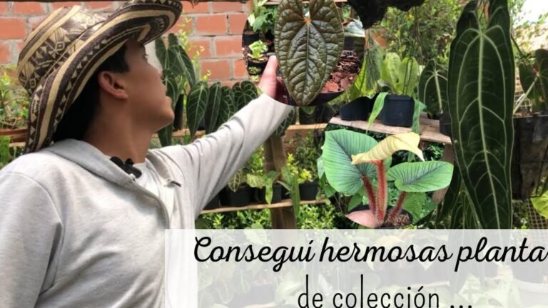 Descubre por qué cultivar plantas nativas este temporada transformará tu jardín para siempre