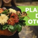 plantas otono