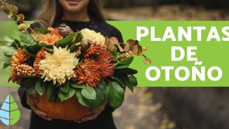 plantas otono