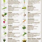 Plantas perfectas para junio: descubre qué sembrar este mes