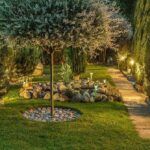 Plantas perfectas para marzo en Madrid: consejos y recomendaciones