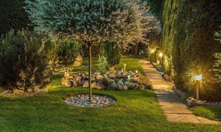 plantas perfectas para marzo en madrid consejos y recomendaciones