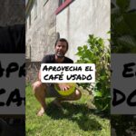 Descubre los 7 usos sorprendentes de los posos de café que transformarán tu jardín para siempre