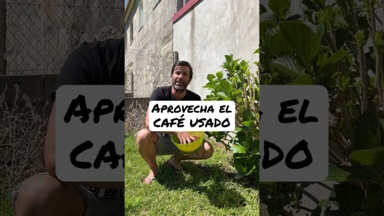 posos cafe