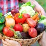 ¡Prepara tu huerto! Qué plantar a finales de agosto