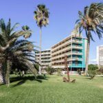 ¡Prepara tu jardín en septiembre en Alicante con estas plantas!