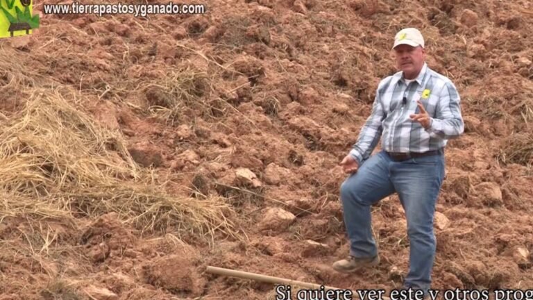 ¡Descubre todos los secretos para plantar Eleagnus con éxito en tu jardín!
