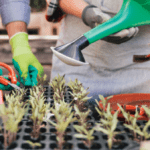 Prepárate para sembrar: Las mejores herramientas para la preparación de macetas y sustratos