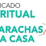 presencia cucarachas
